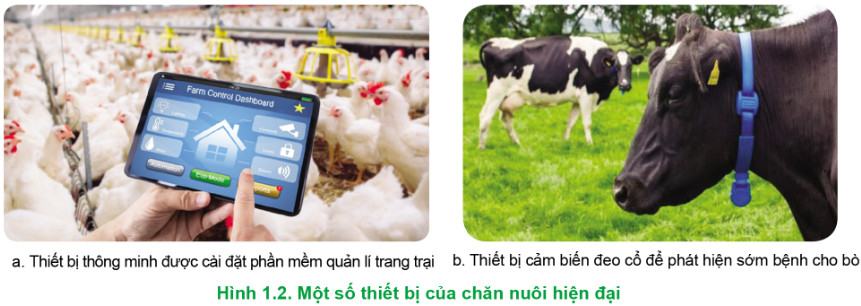 Công nghệ Chăn nuôi 11 Cánh Diều Bài 1: Chăn nuôi trong bối cảnh cuộc cách mạng công nghiệp 4.0