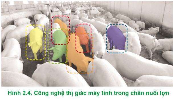 Công nghệ Chăn nuôi 11 Cánh Diều Bài 2: Xu hướng phát triển của chăn nuôi