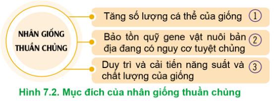 Công nghệ Chăn nuôi 11 Cánh Diều Bài 7: Nhân giống vật nuôi