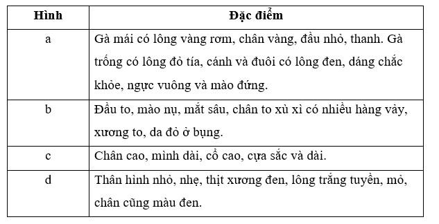 Công nghệ Chăn nuôi 11 Kết nối tri thức Bài 3: Khái niệm, vai trò của giống trong chăn nuôi