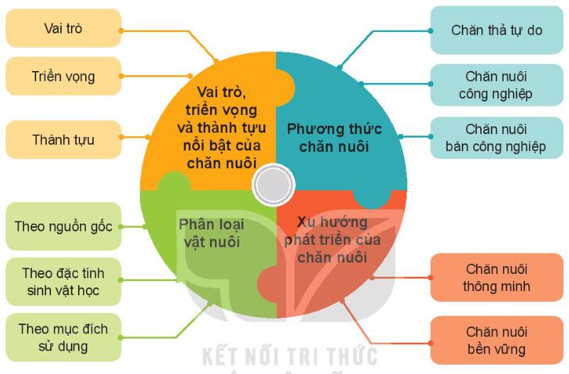 Công nghệ Chăn nuôi 11 Kết nối tri thức Ôn tập chương 1