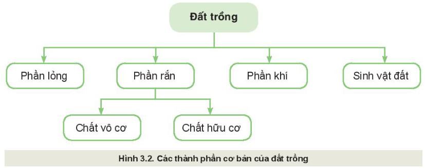 Công nghệ trồng trọt 10 Kết nối tri thức Bài 3: Giới thiệu về đất trồng