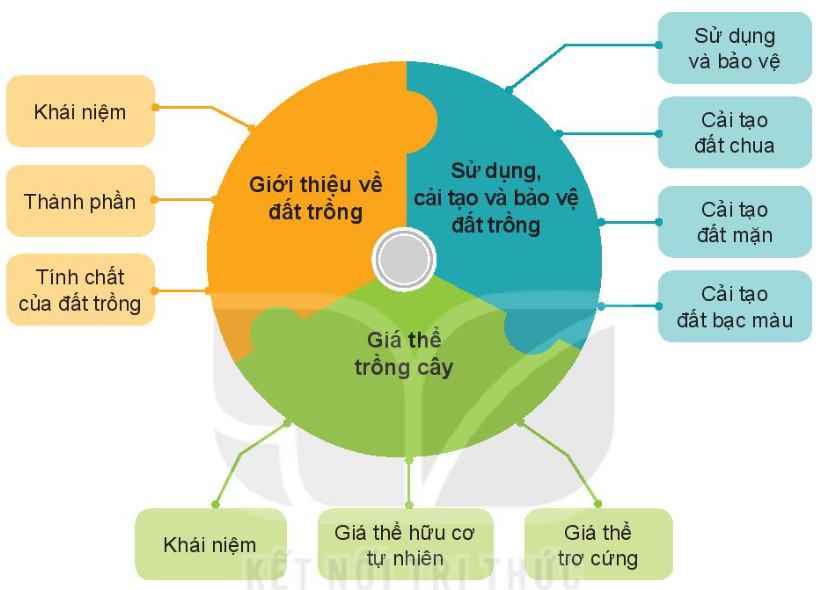 Công nghệ trồng trọt 10 Kết nối tri thức Ôn tập chương 2