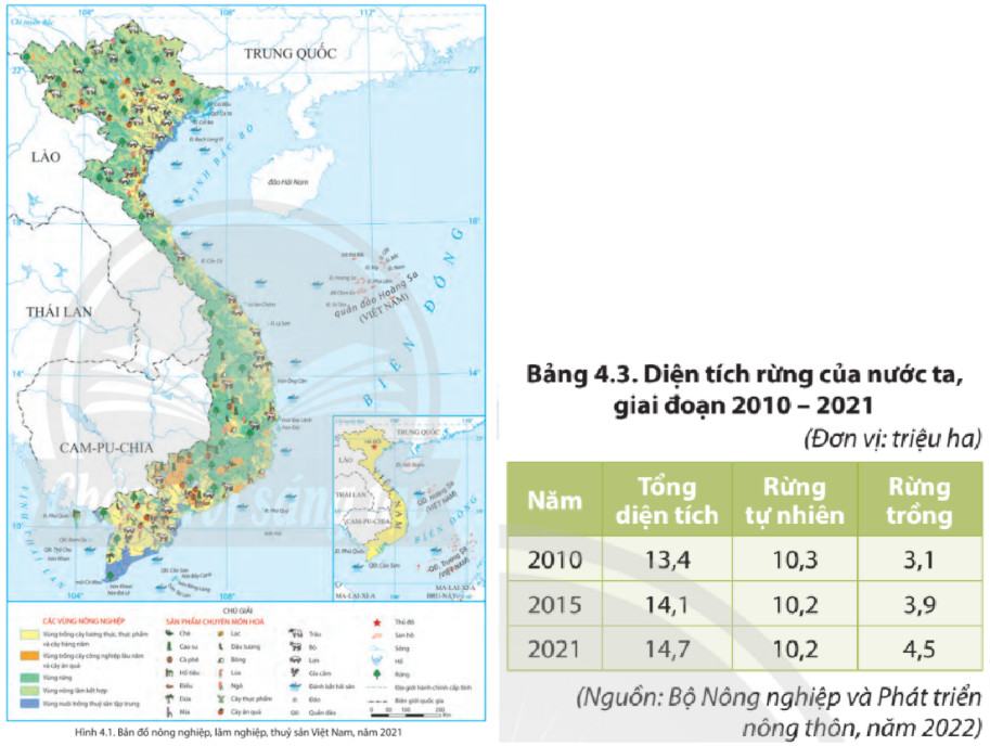 Địa Lí 9 Chân trời sáng tạo Bài 4: Nông nghiệp, lâm nghiệp, thuỷ sản