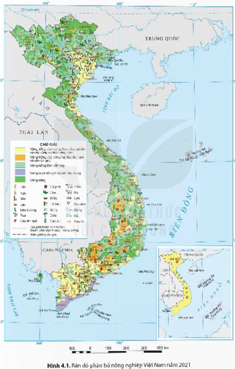 Địa Lí 9 Kết nối tri thức Bài 4: Nông nghiệp