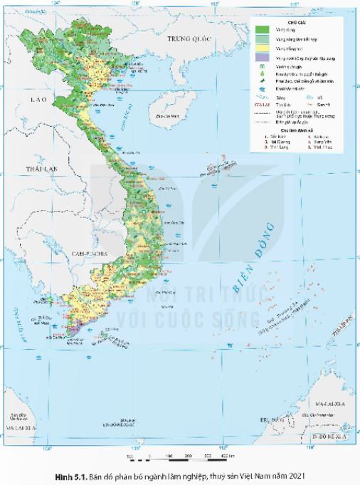 Địa Lí 9 Kết nối tri thức Bài 5: Lâm nghiệp và thuỷ sản