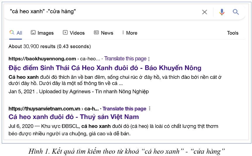 Tin 11 Định hướng THUD Cánh Diều Bài 2: Thực hành một số tính năng hữu ích của máy tìm kiếm