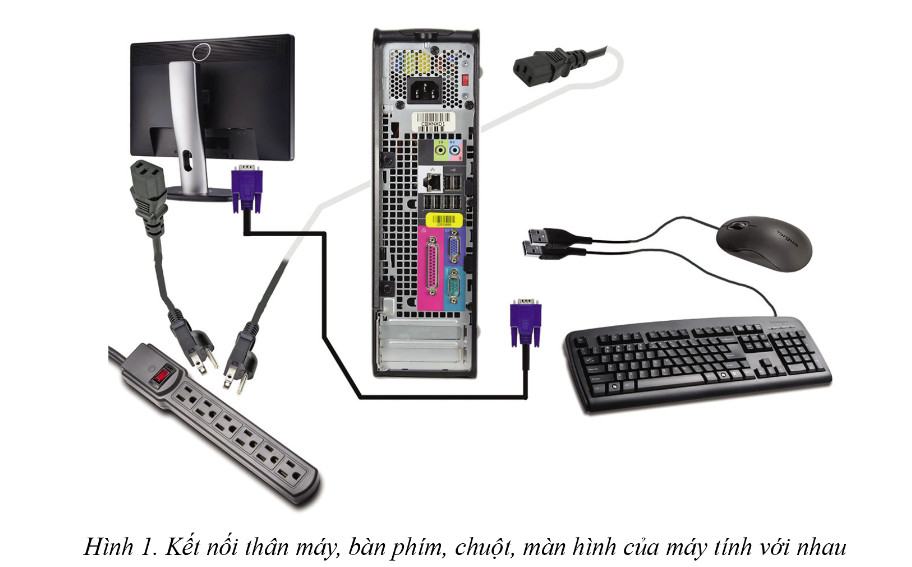 Tin 11 Định hướng Tin học ứng dụng Cánh Diều Bài 4: Thực hành với các thiết bị số