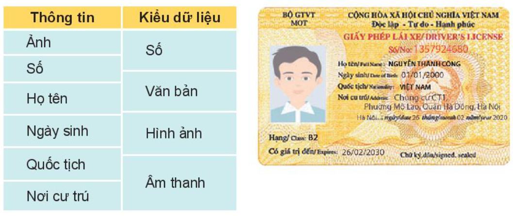 Tin học 10 Kết nối tri thức Bài 3: Một số kiểu dữ liệu và dữ liệu văn bản