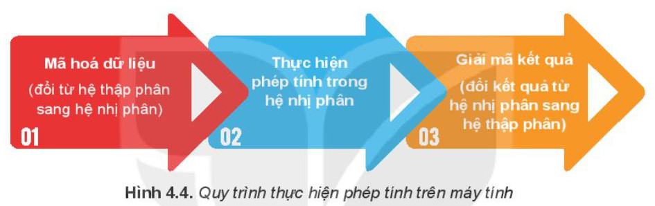 Tin học 10 Kết nối tri thức Bài 4: Hệ nhị phân và dữ liệu số nguyên