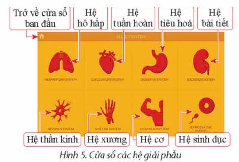 Tin học 9 Chân trời sáng tạo Bài 4: Phần mềm mô phỏng