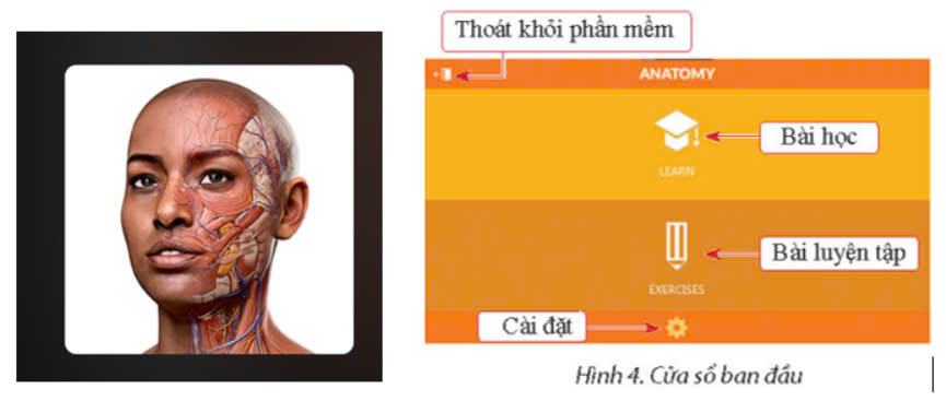 Tin học 9 Chân trời sáng tạo Bài 4: Phần mềm mô phỏng