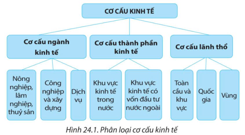 Địa Lí 10 Chân trời sáng tạo Bài 24: Cơ cấu nền kinh tế, một số tiêu chí đánh giá sự phát triển kinh tế