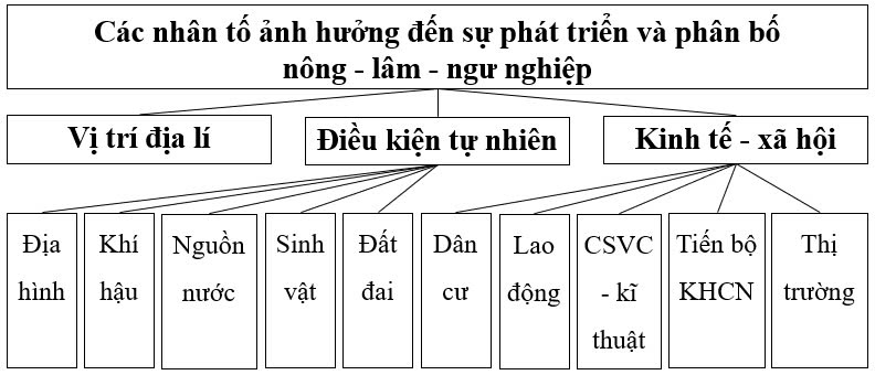 Địa Lí 10 Chân trời sáng tạo Bài 25: Vai trò, đặc điểm, các nhân tố ảnh hưởng tới sự phát triển và phân bố nông nghiệp, lâm nghiệp, thủy sản