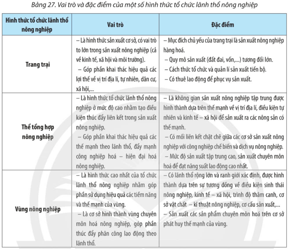 Địa Lí 10 Chân trời sáng tạo Bài 27: Tổ chức lãnh thổ nông nghiệp, vấn đề và định hướng phát triển nông nghiệp